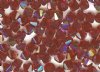 25 Garnet AB 4mm Bi...